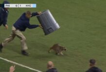 Portland Timbers announcer apologizes over awkward MLS broadcast hot mic blunder — overshadowed by hilarious raccoon incident