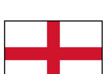 UEFA is investigating allegations of racism in the England-Serbia match