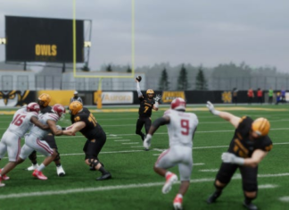 Dynasty, Road to Glory modes stand out