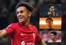 Fabio Carvalho “should be playing in the Premier League” – can it be at Liverpool? – Liverpool FC