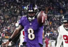 AFC North betting preview – Ravens have slight edge over Bengals