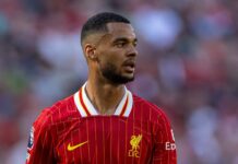 Confirmed Liverpool lineup vs. Las Palmas: Nunez and Gakpo start – Liverpool FC