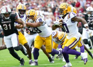 The LSU college football trolls lead into Week 3