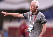 Sermanni returns as interim Matildas boss