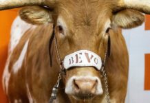 Stunners Texas, Ohio State, Oregon top AP Top 25