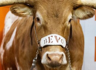 Stunners Texas, Ohio State, Oregon top AP Top 25