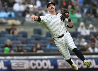 Yankees to start Jon Berti, Jose Trevino in Game 3 vs. Guardians