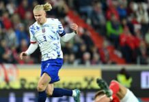 Erling Haaland is sorry after Norway’s loss to Austria