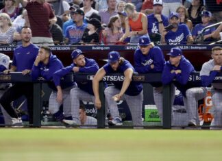 Snake appears in Dodgers dugout during NLCS loss to Mets