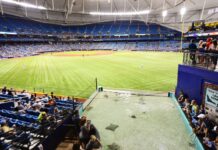 Tropicana Field stingrays safely reach aquarium after Milton