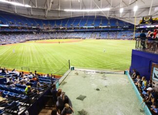 Tropicana Field stingrays safely reach aquarium after Milton