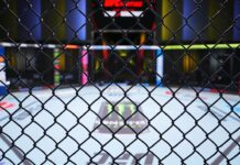 UFC fighters reach $375 million settlement with judge approval