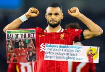 Arne Slot sent ‘message’ as ‘everything Gakpo touched turned into a flaming missile’ – Liverpool FC