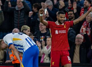 “Loudest I’ve witnessed as an away fan” – LFC and Brighton fans laud Anfield atmosphere – Liverpool FC